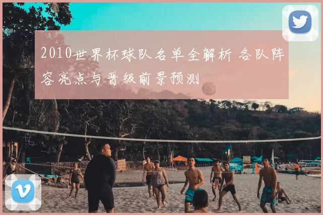2010世界杯球队名单全解析 各队阵容亮点与晋级前景预测