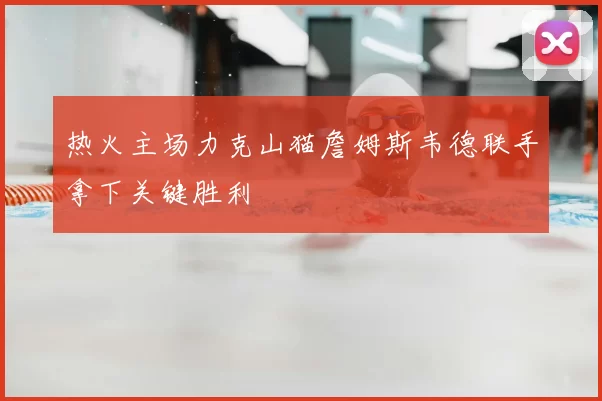 热火主场力克山猫詹姆斯韦德联手拿下关键胜利