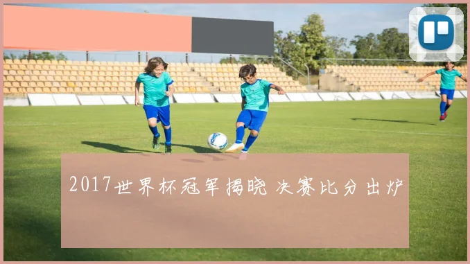 2017世界杯冠军揭晓 决赛比分出炉